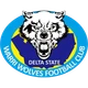 Warri Wolves